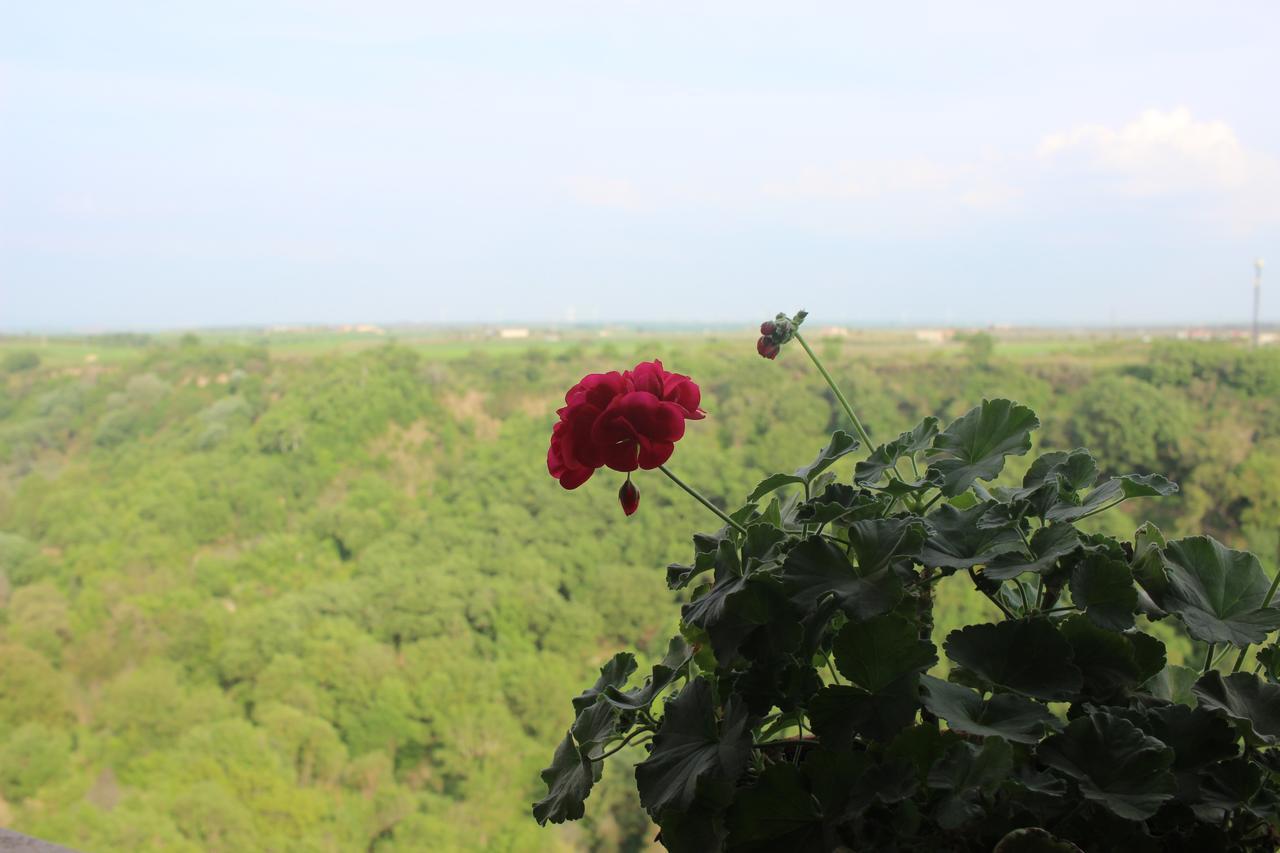 Hotel Orazio Venosa Zewnętrze zdjęcie